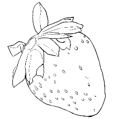 食べ物①詰め合わせ(17カット)