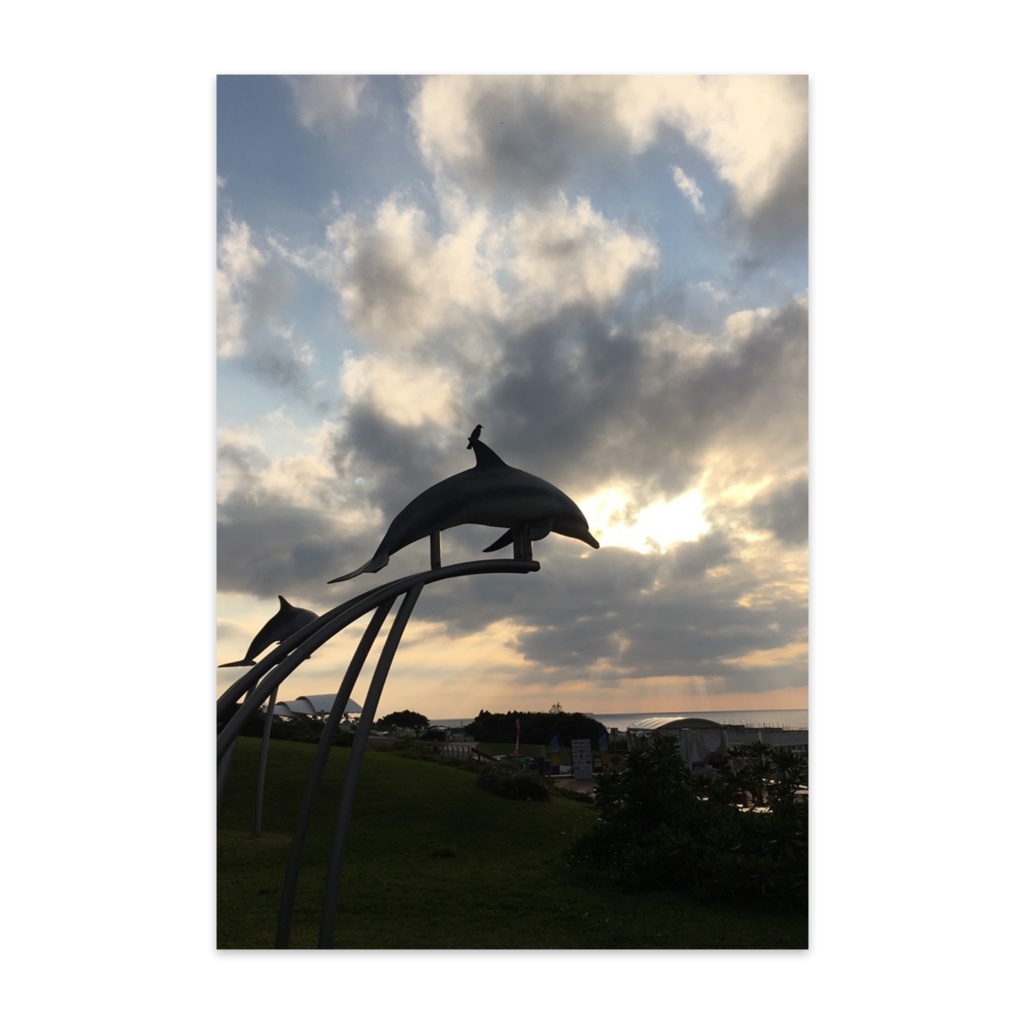 イルカと夕焼け　ポストカード10枚セット