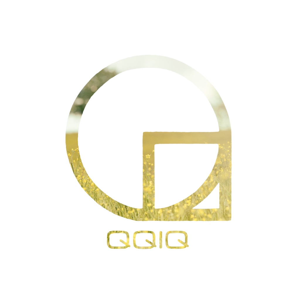 QQIQ 021-030(2015)