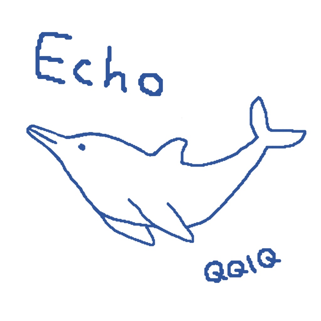 QQIQ Echo(Single)