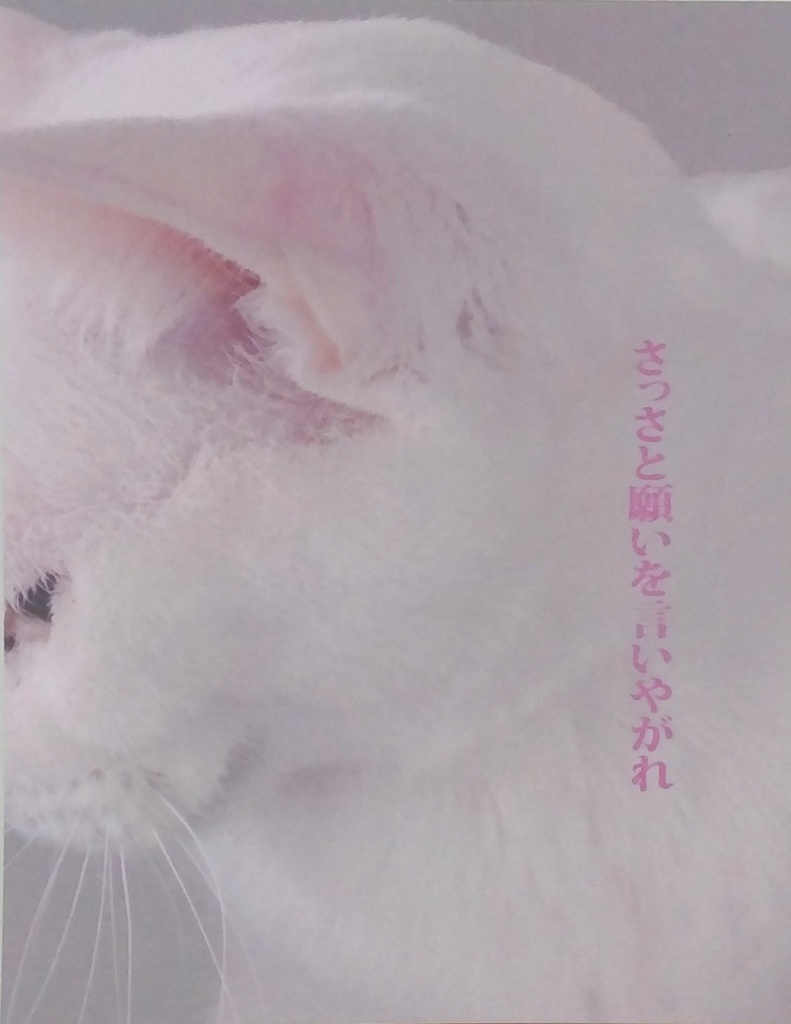 【既刊】さっさと願いを言いやがれ