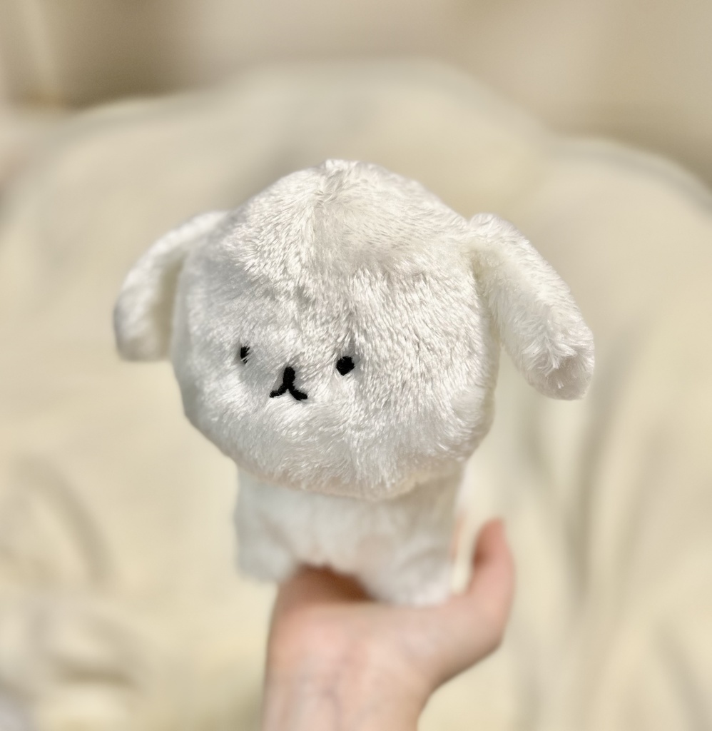 おいぬちゃんぬいぐるみ