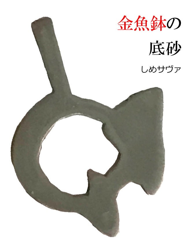 【クイズ問題集】金魚鉢の底砂