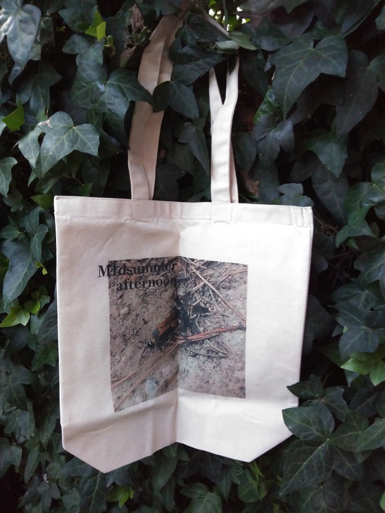 Mid summer afternoon ベッコウバチ