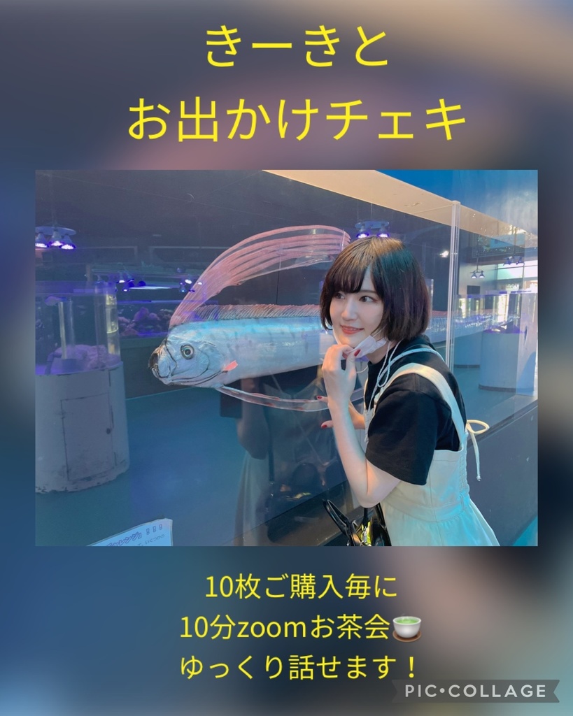 🐱きーきとお出かけチェキ🐱