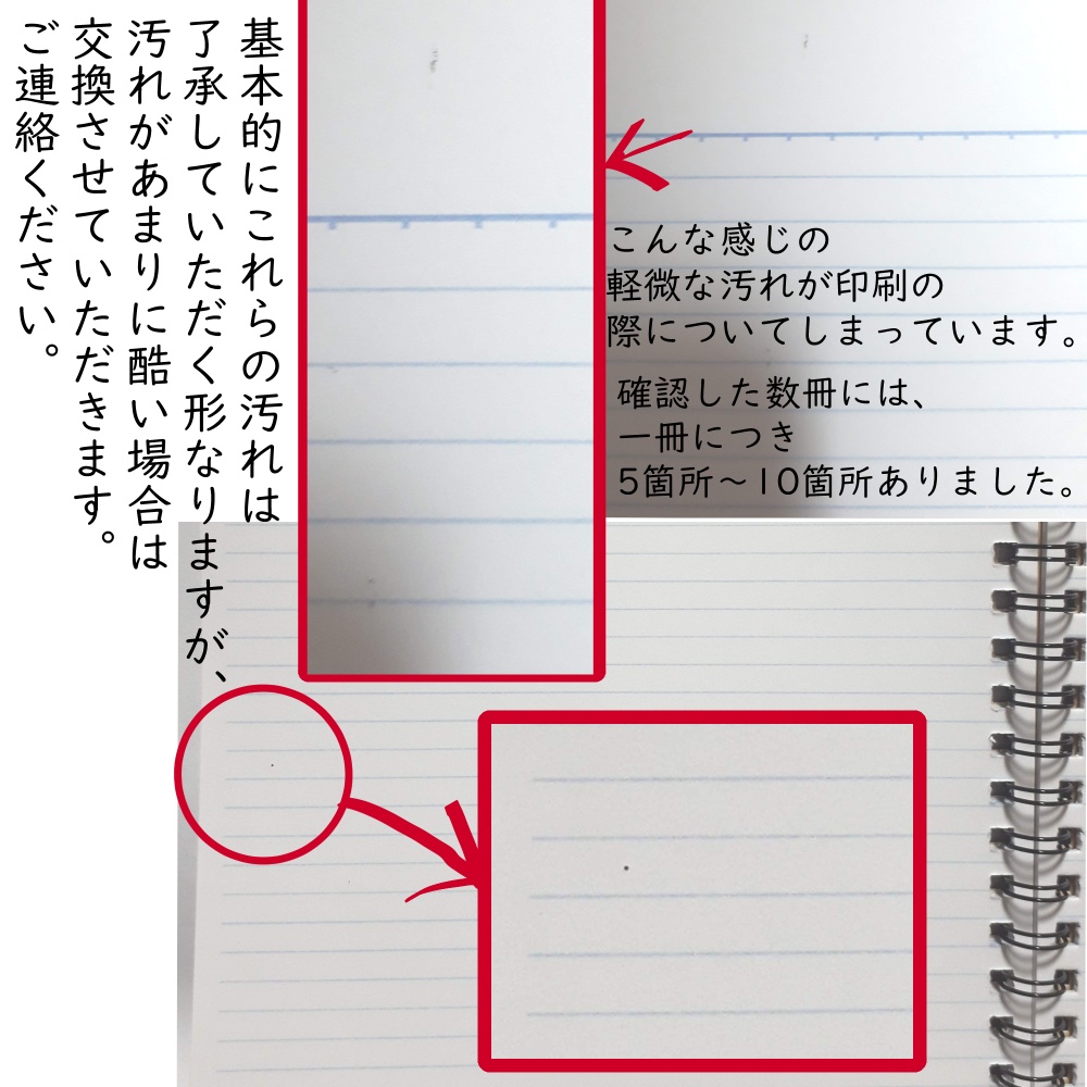 訳ありリングノート A5サイズ(龍)