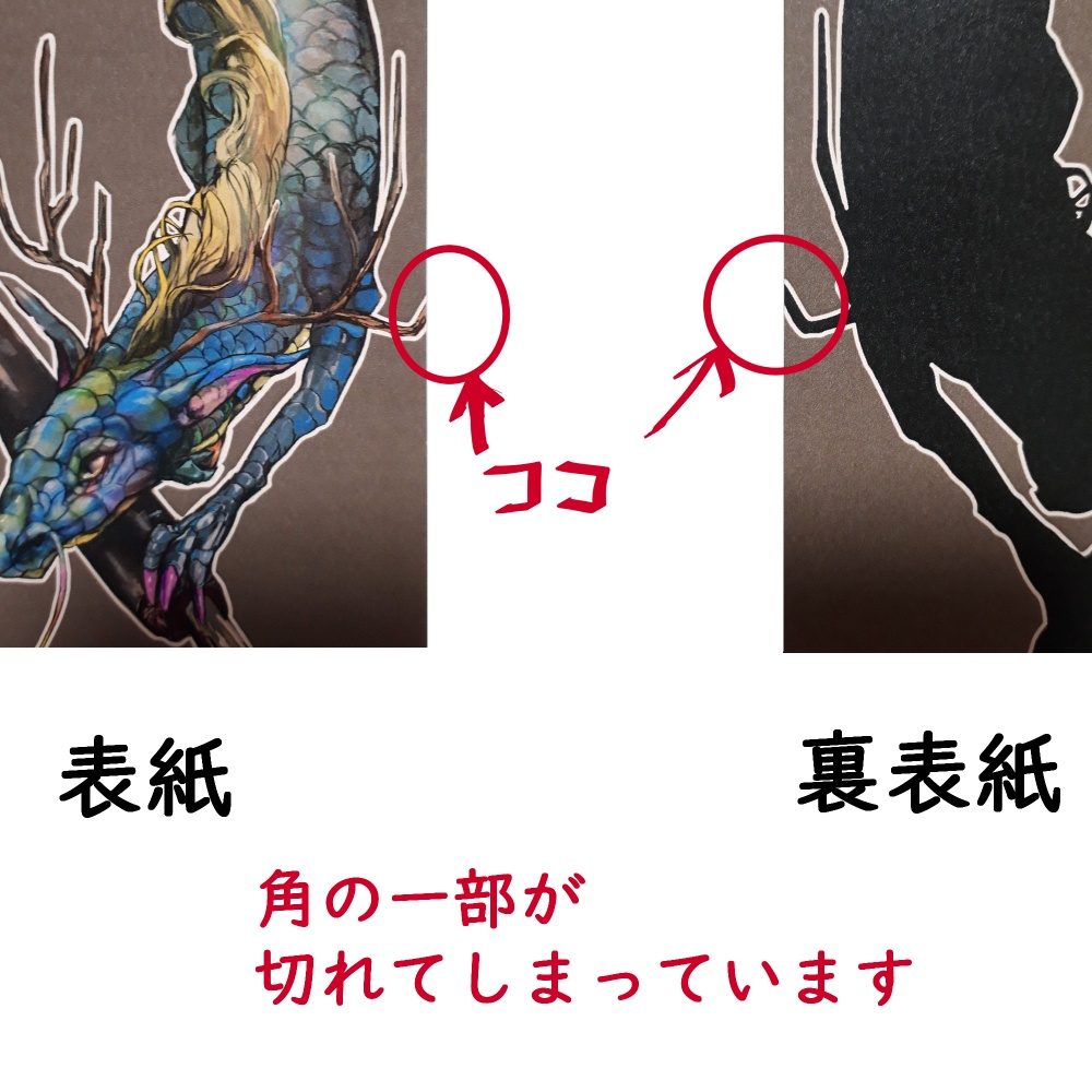 訳ありリングノート A5サイズ(龍)