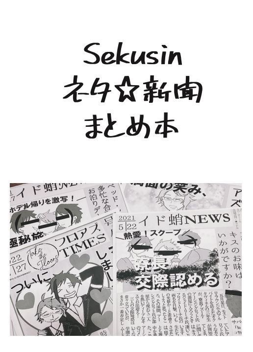 せくしんネタ☆新聞まとめ本