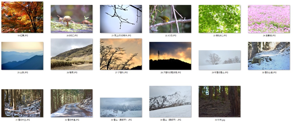 【無料】山林・森系フリー写真素材集(35点)