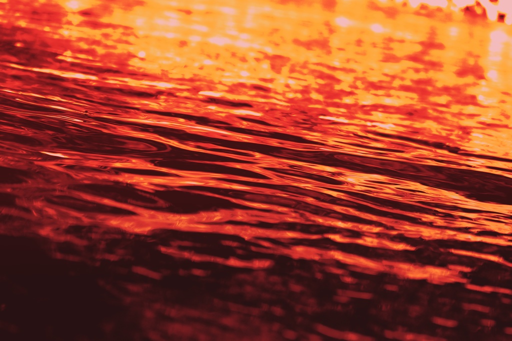 【無料】毒々しいフリー写真素材集(40点)