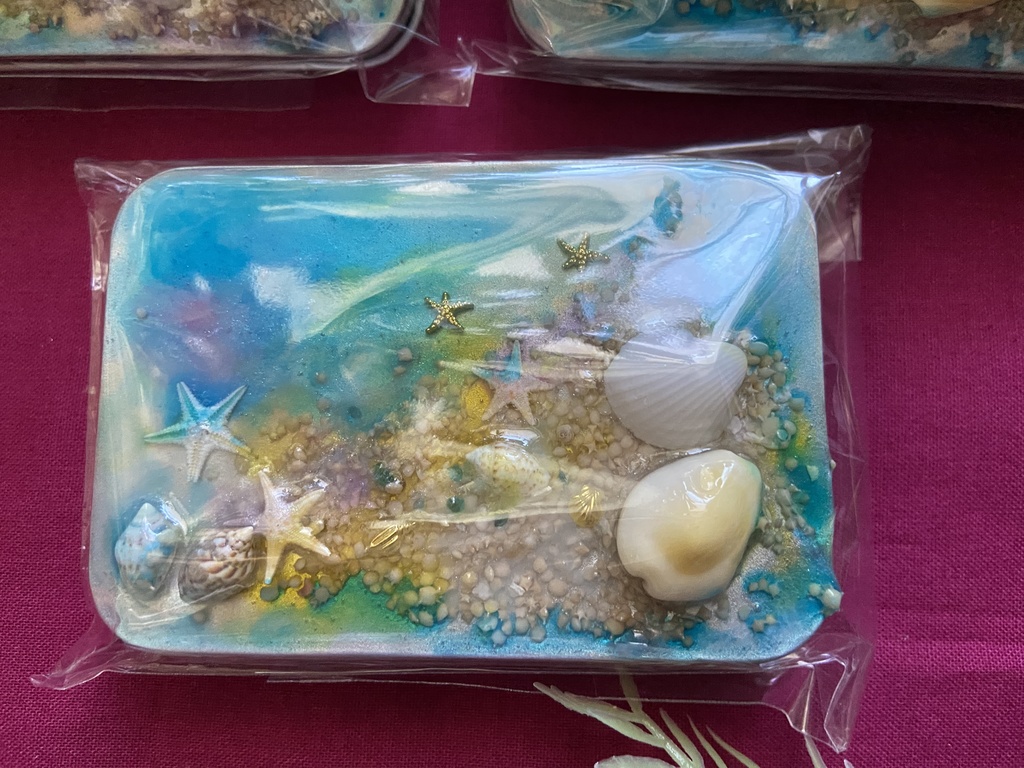 うみの貝殻小物入れ 缶ケース