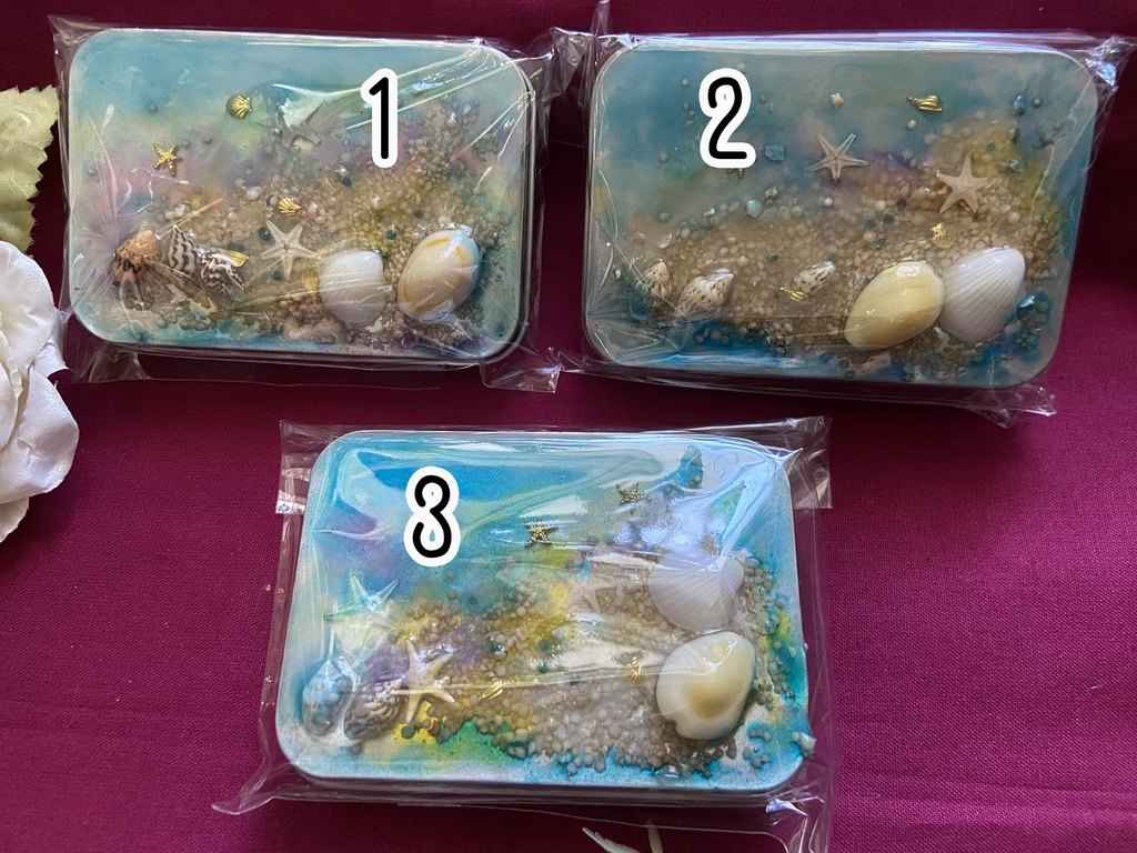 うみの貝殻小物入れ 缶ケース