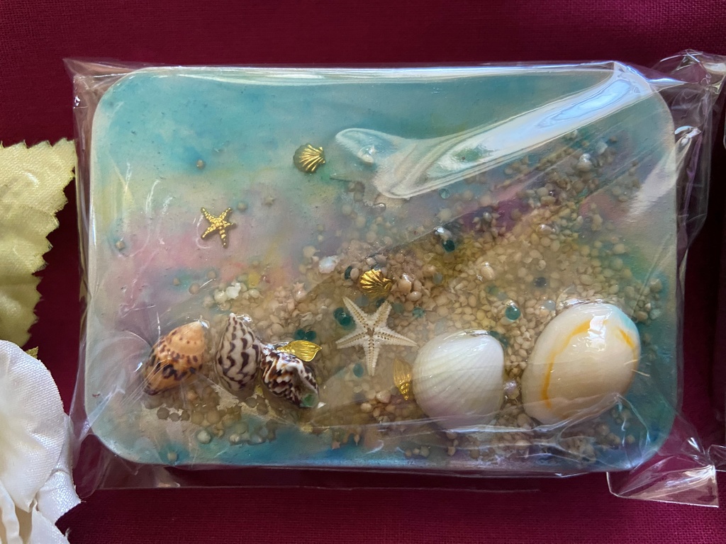 うみの貝殻小物入れ 缶ケース