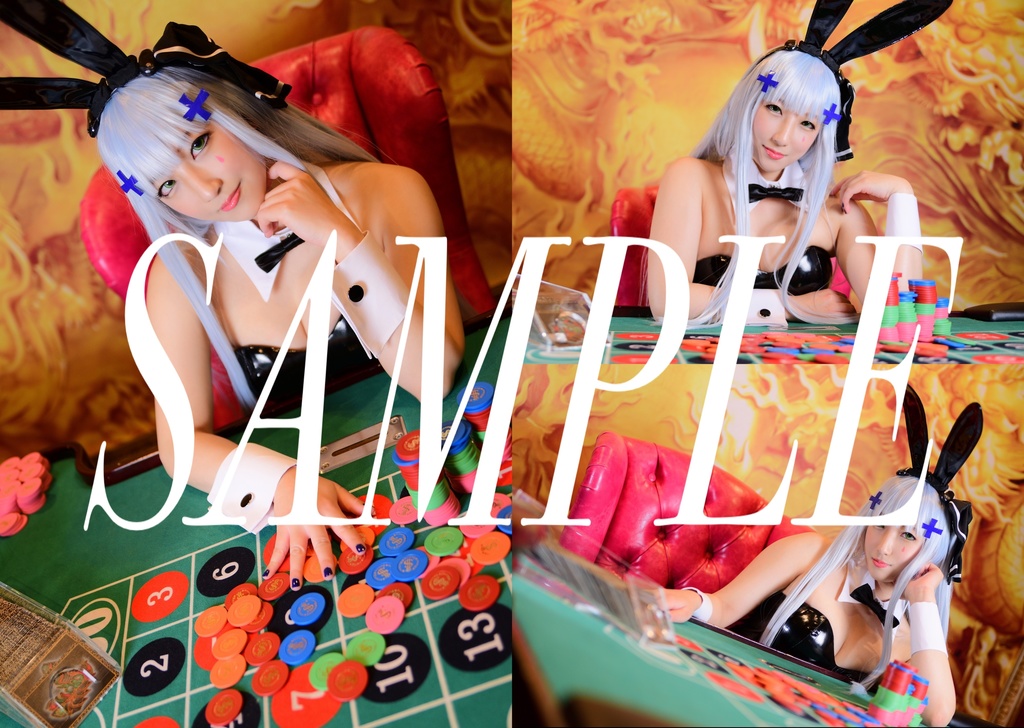 C102新刊+既刊セット【ドルフロ416写真集】