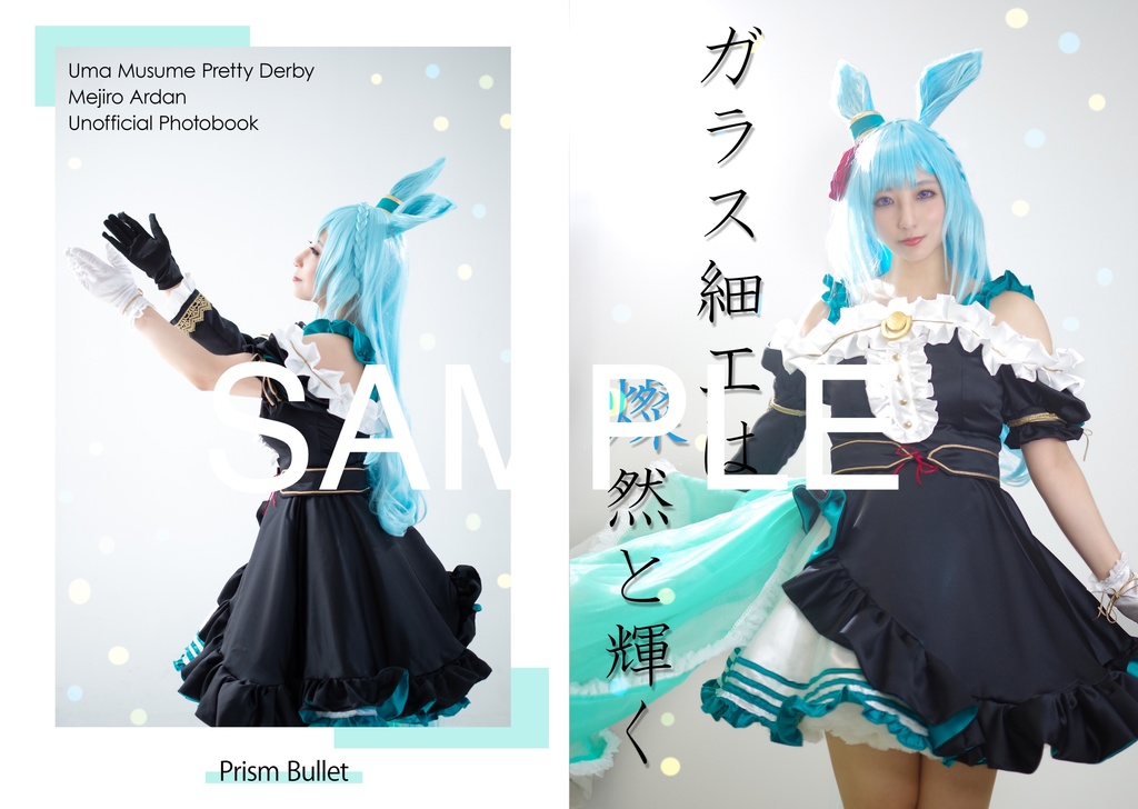 メジロアルダン写真集「ガラス細工は燦然と輝く」