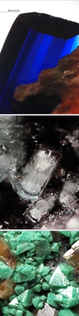 THE TSUMEB COLLECTION TASKの鉱物棚