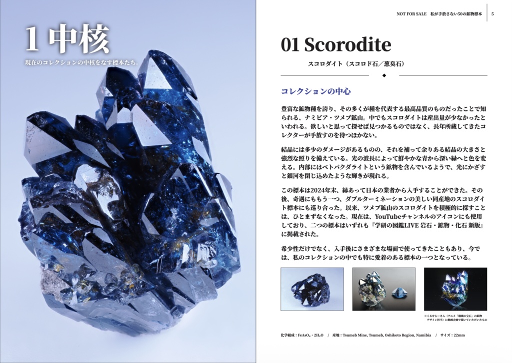 NOT FOR SALE 私が手放さない50の鉱物標本