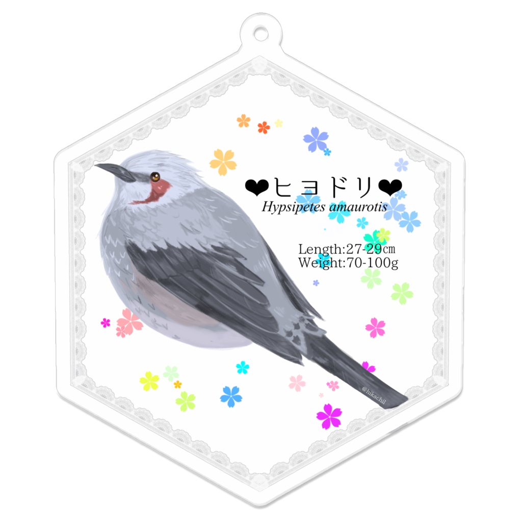 ヒヨドリ アクリルキーホルダー 70×70(mm)