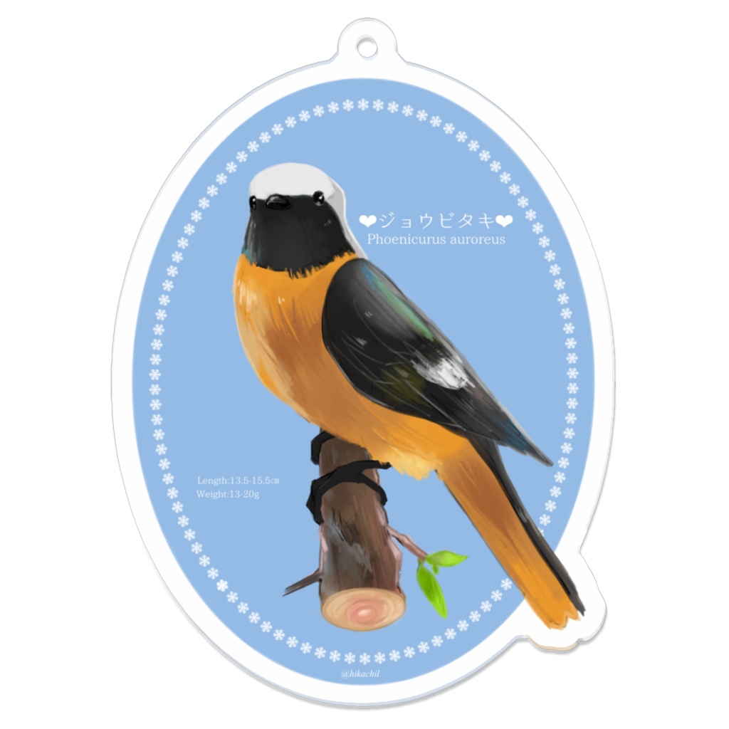 ジョウビタキ アクリルキーホルダー 70×70(mm)