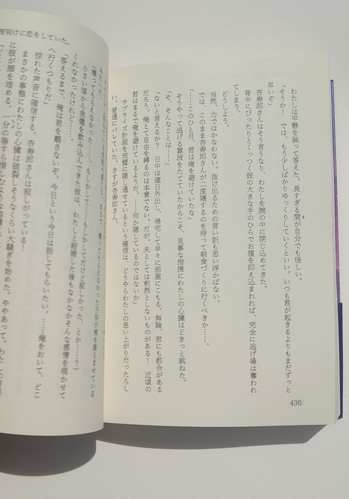 百光年先の夜明けに恋をしていた。