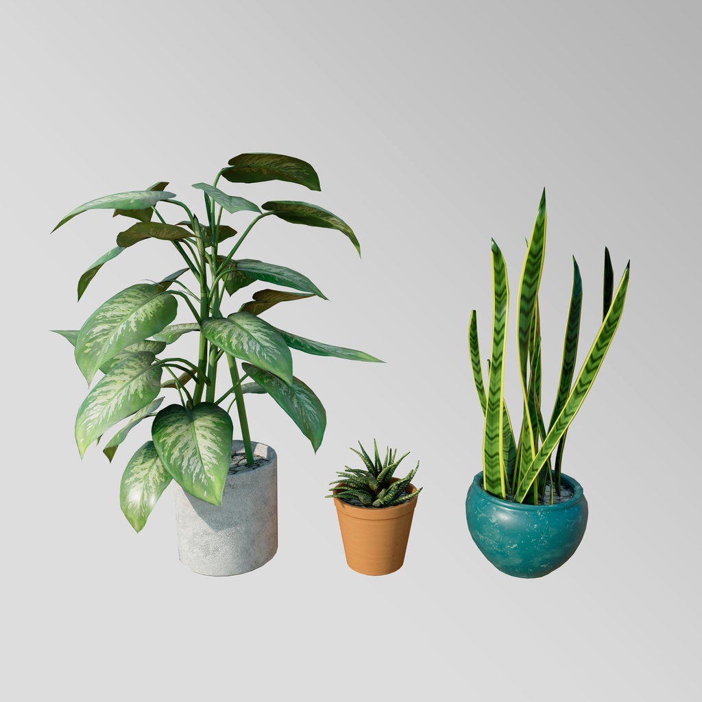 plants set