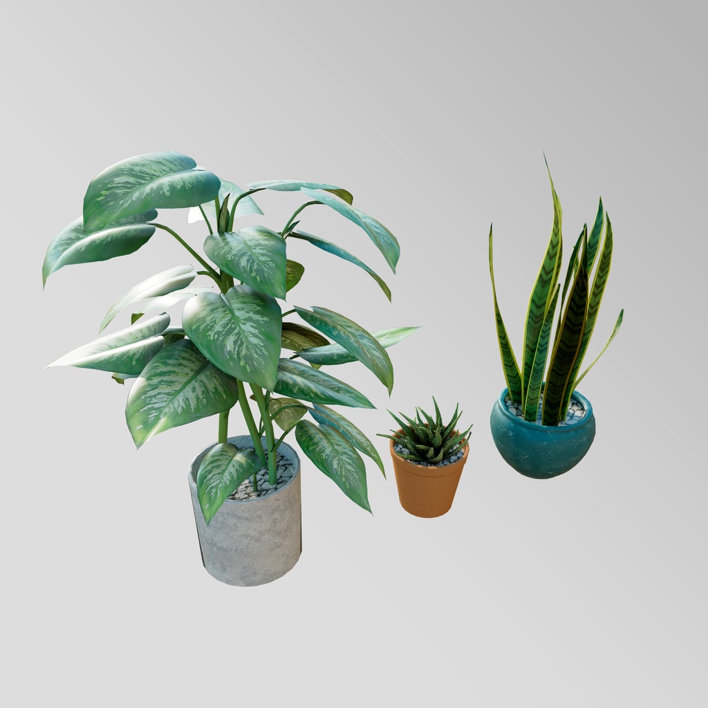 plants set