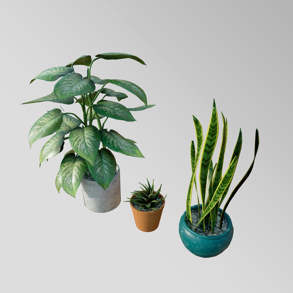 plants set