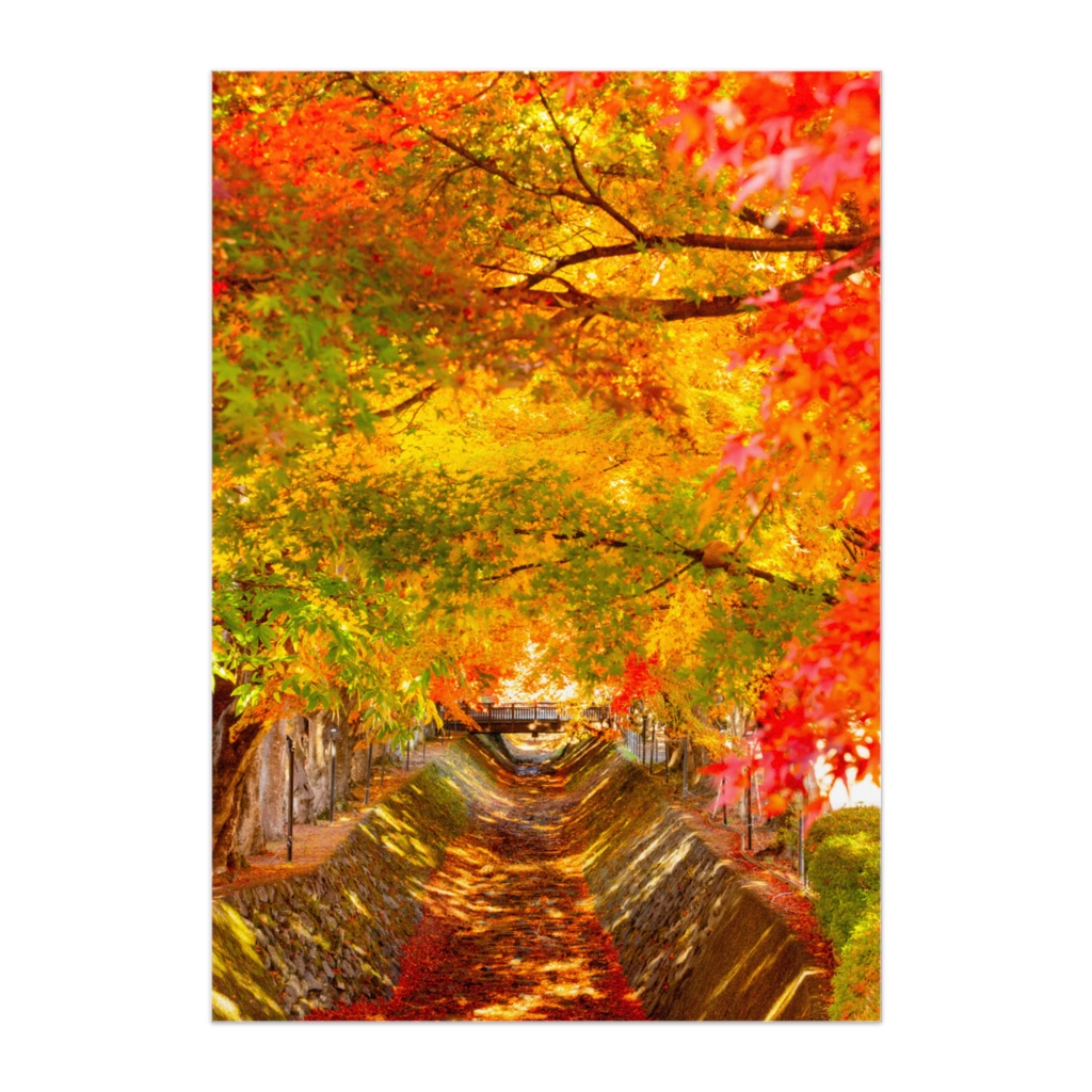 河口湖 もみじ回廊の紅葉ポスター｜Momiji Corridor Autumn Poster