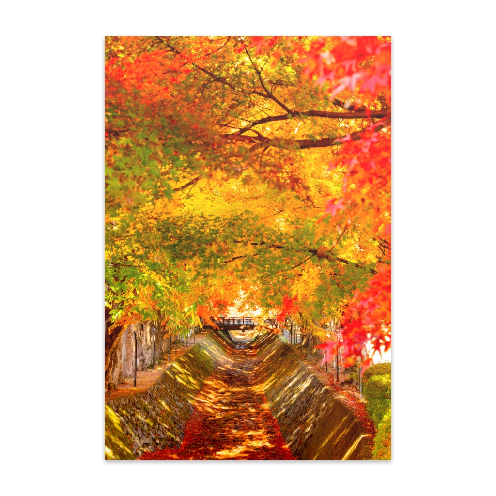 もみじ回廊ポストカードセット(10枚)| Momiji Corridor Postcard Set (10 pcs)