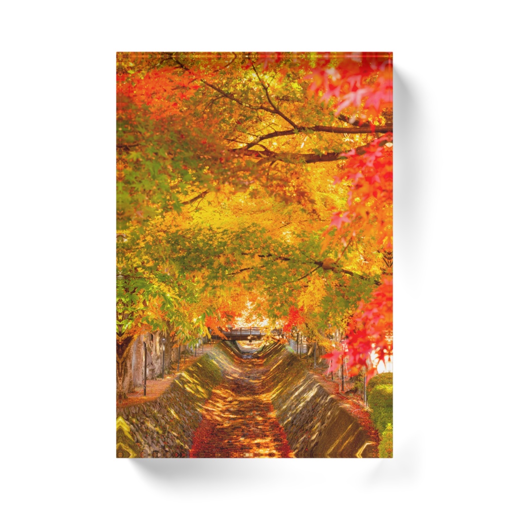 もみじ回廊(河口湖)アクリルブロック|Autumn Maple Tunnel – Kawaguchiko (Acrylic Block)