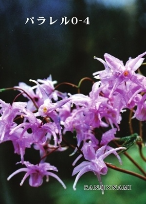 パラレル０－４