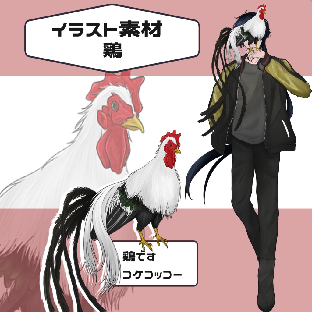 【肩に乗せれる！】鶏