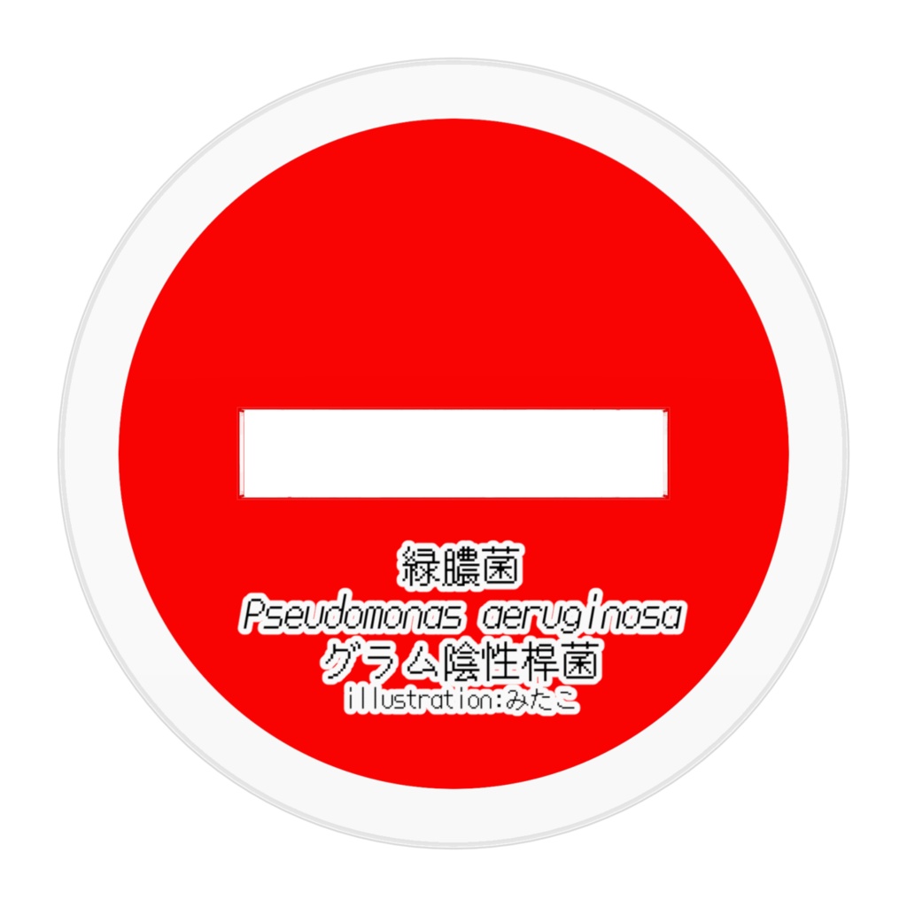 微生物シリーズ 緑膿菌アクリルキースタンド