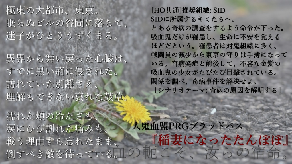 ブラッドパス同人シナリオ集『花暦~はなのいろは~』