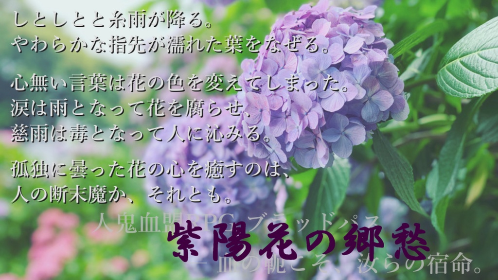 ブラッドパス同人シナリオ集『花暦~はなのいろは~』