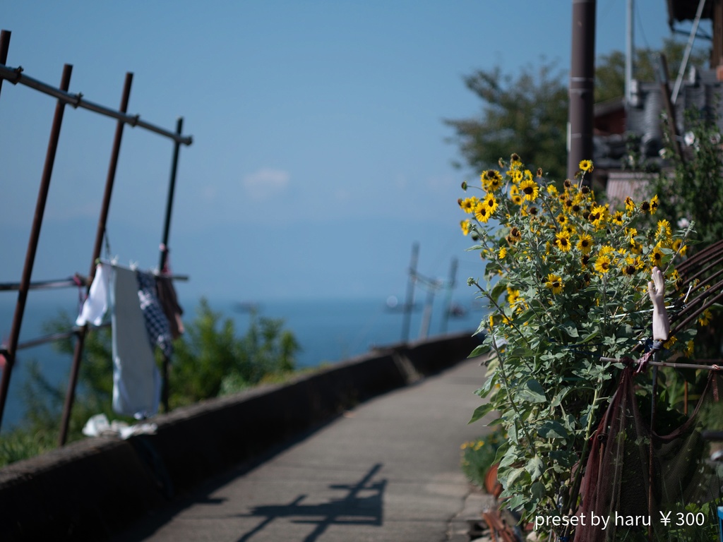 「iland」jpg&Preset(dng)