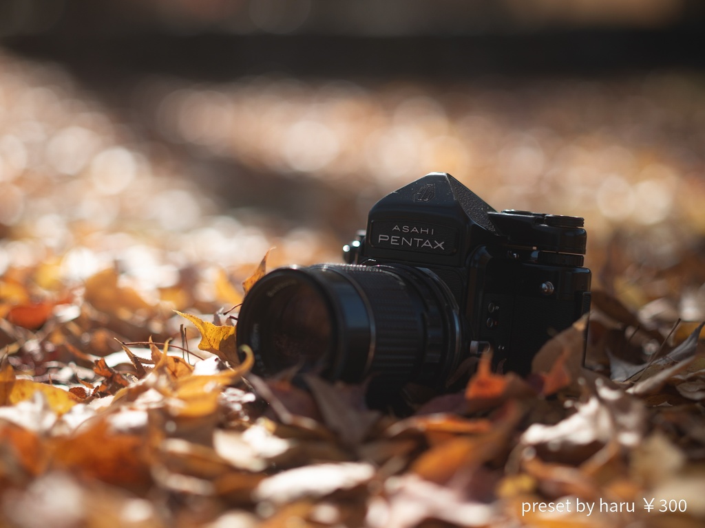 「pentax67」jpg & preset(dng)