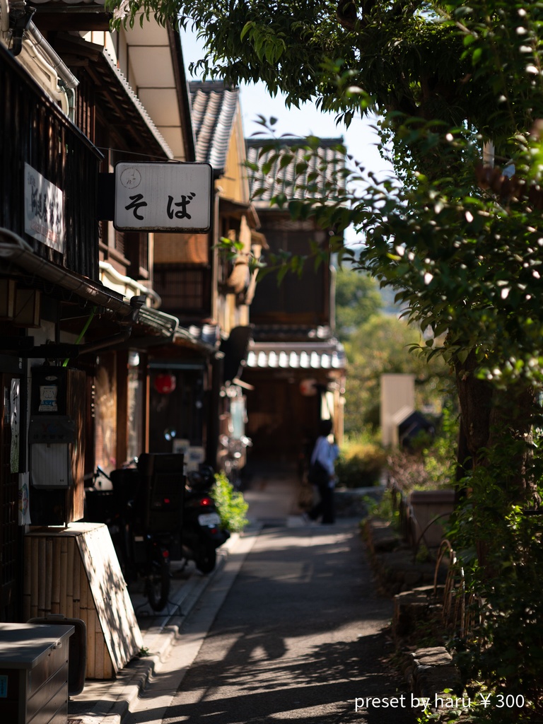 「kyoto street」jpg & preset(dng)