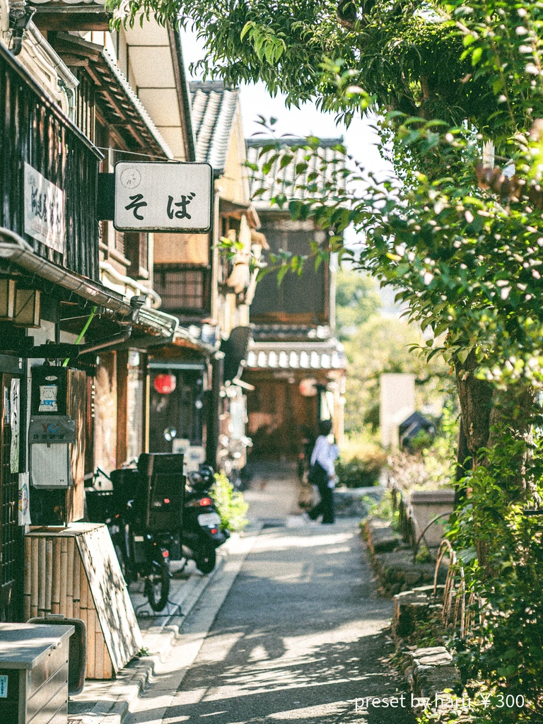 「kyoto street」jpg & preset（dng）