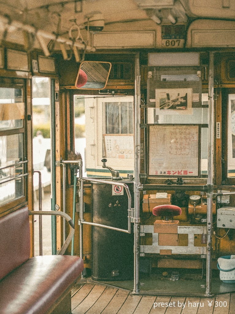 「kyoto train」jpg & preset(dng)