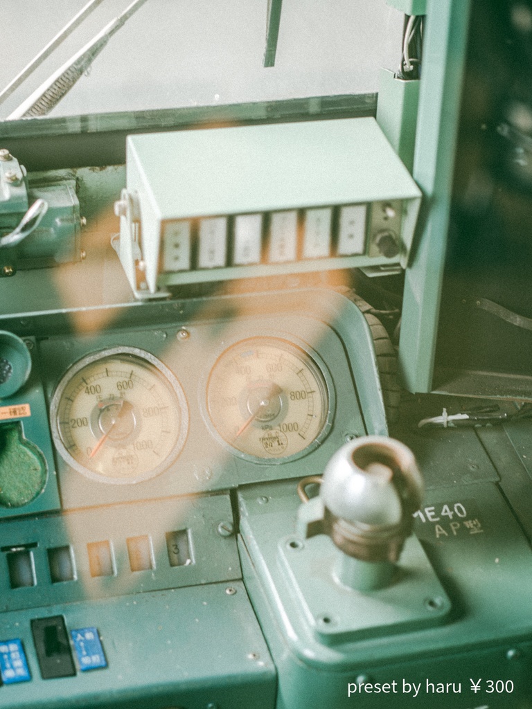 「train2」jpg & preset(dng)