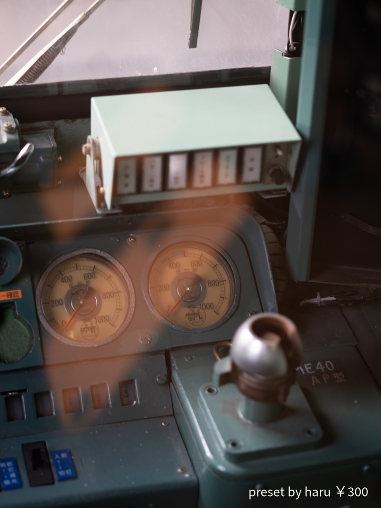 「train2」jpg & preset(dng)