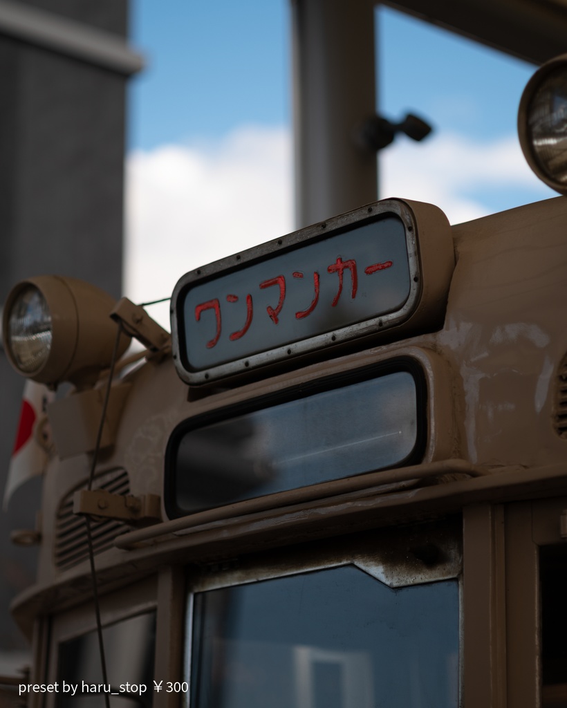 「train3」jpg & preset(dng)