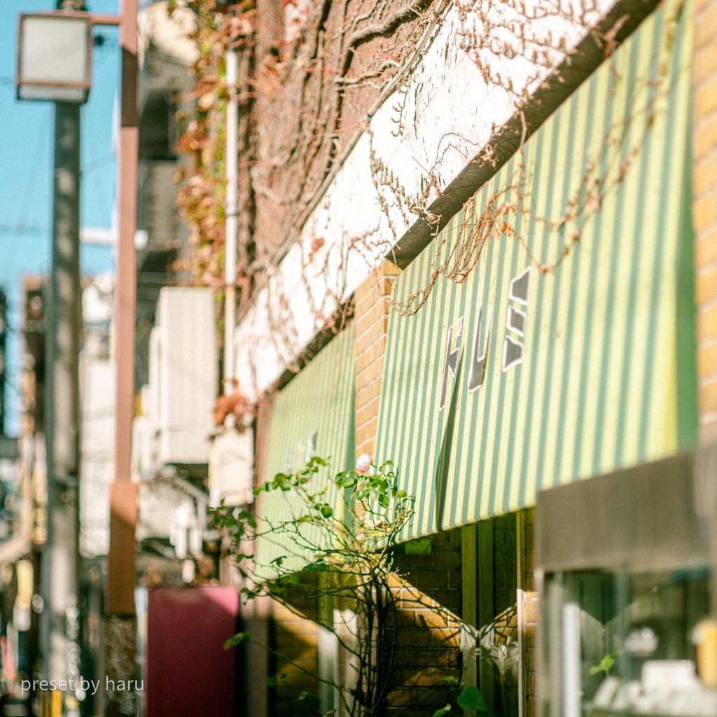「cafe2」jpg & preset(dng)