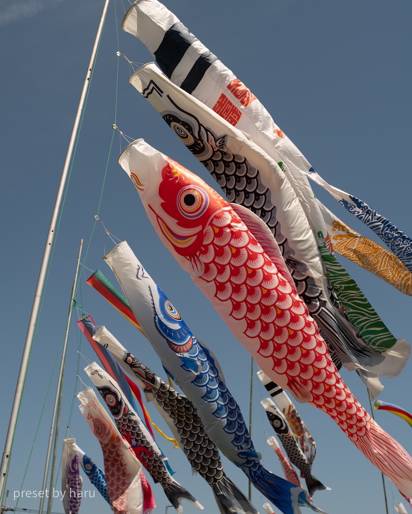 「koinobori」jpg & preset(dng)