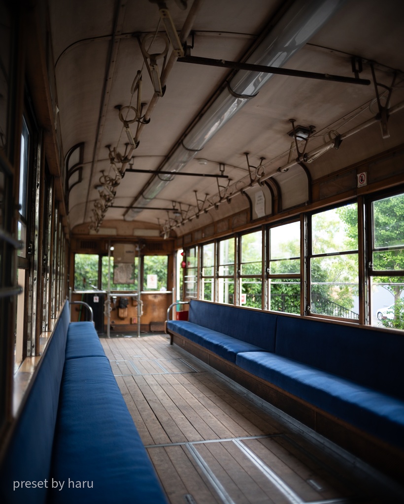 「train6」jpg & preset(dng)