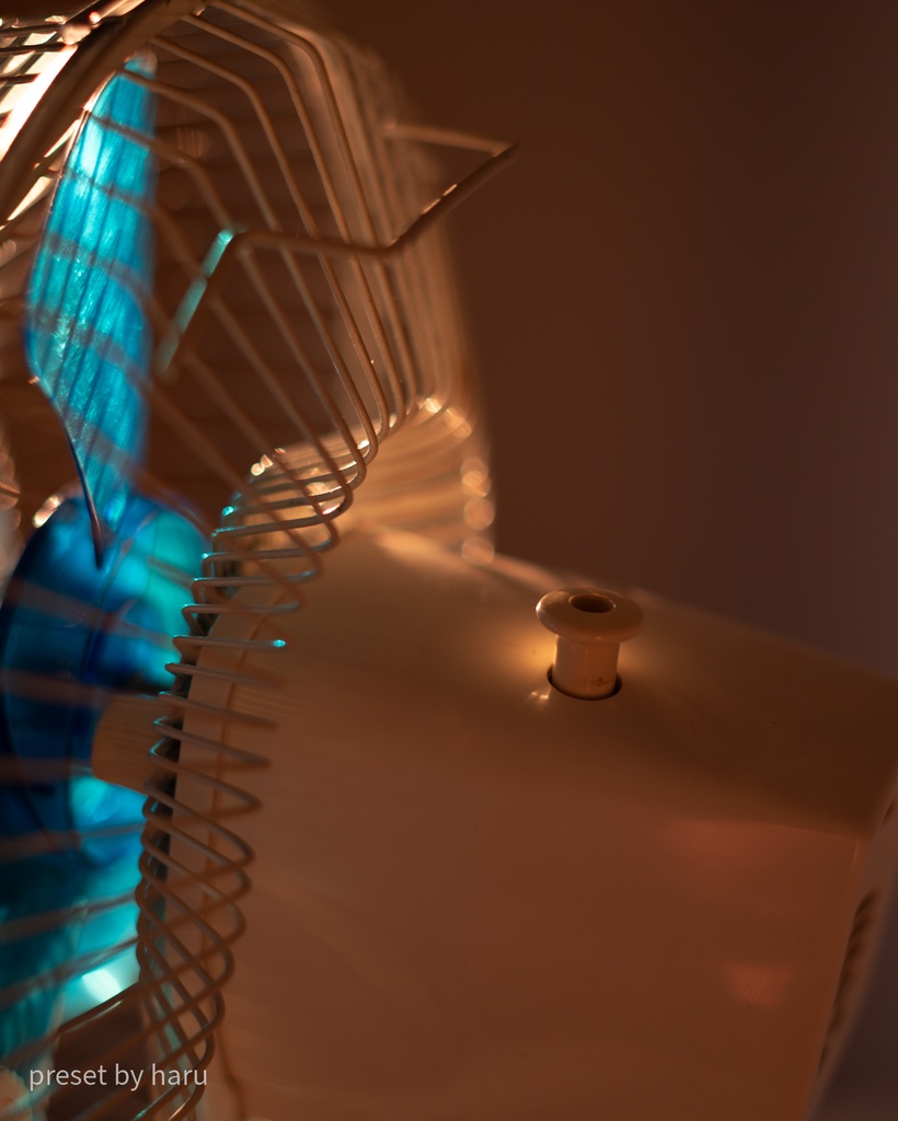 「electric fan」jpg & preset(dng)