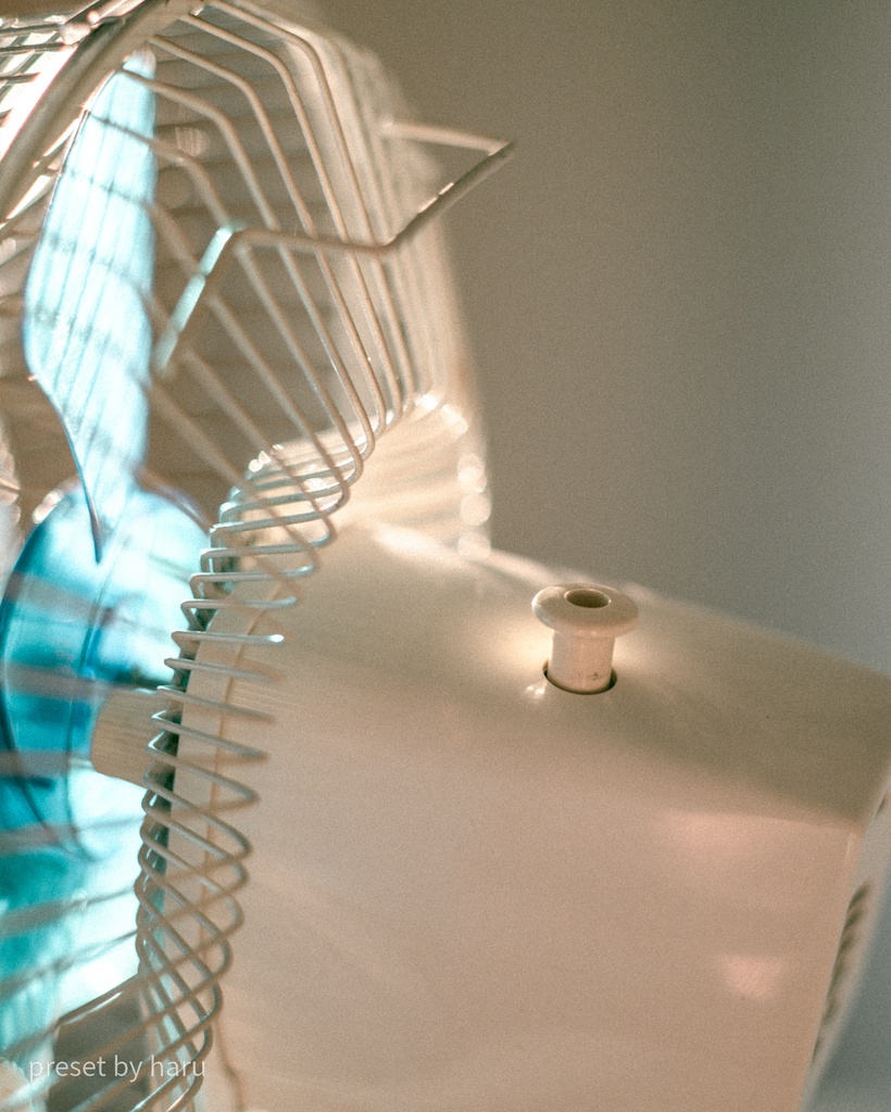 「electric fan」jpg & preset(dng)