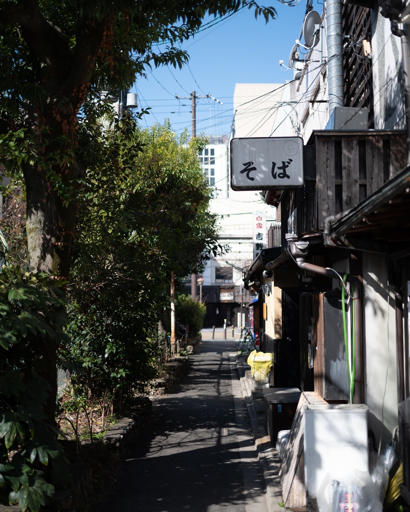 Look like FUJICOLOR PRO 400H