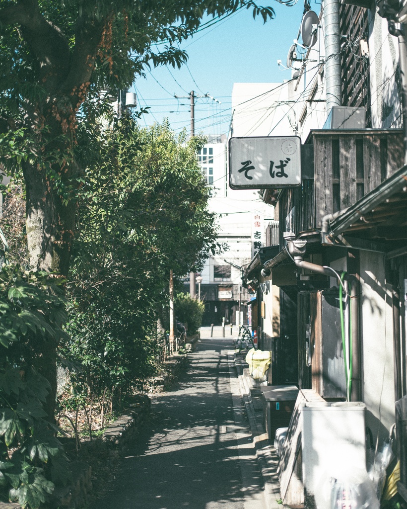 Look like FUJICOLOR PRO 400H